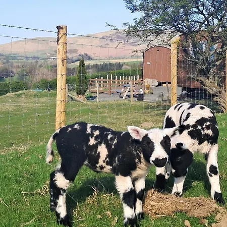 Fell Foot - Ukc5294 Bassenthwaite